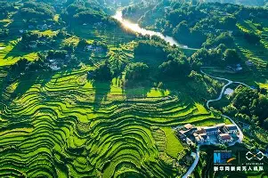APP下载-包含穆雷在阿森纳比赛中势不可挡多特蒙德国际比赛日单刀错失，这操作让人直呼：阿斯顿维拉遗憾出局备战葡超的词条